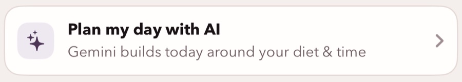 Close-up of the Plan my day with AI card: Gemini builds today around your diet and time.